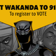 Image from The Electoral Justice Project